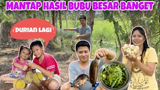 Download Lagu MASAK BUNGA LABU, LANJUT PANEN JAMBU AIR BESAR-BESAR MP3