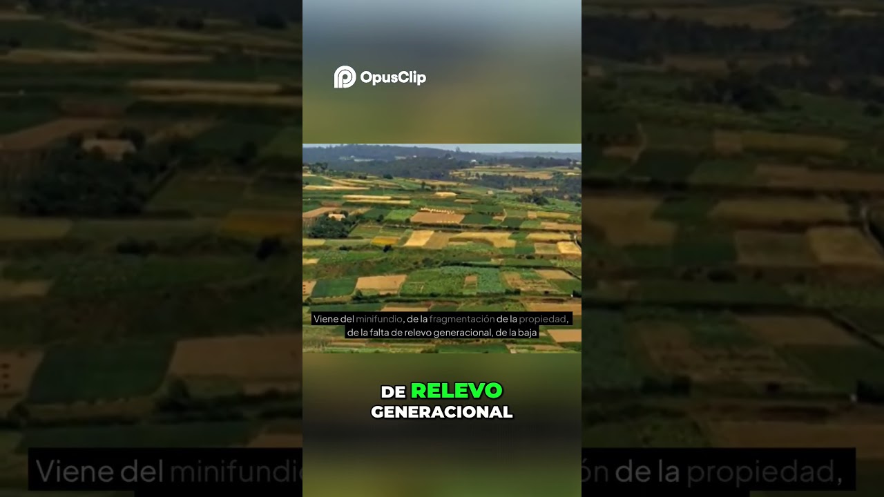 El eucalipto en Galicia. Los del NON y la realidad que no quieren ver. #eucalipto #galicia#altri