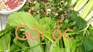 Snail Salad - Gỏi Ốc Bươu Vàng Thơm Ngon Độc Lạ Khó Cưỡng Lại | HTK VLOGS