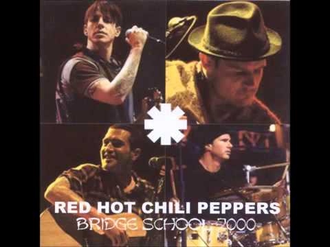 00's Red Hot Chili Peppers ヴィンテージTシャツ