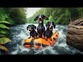 Hundimos el Bote inflable: Perros Salchichas en el Rio 🚤