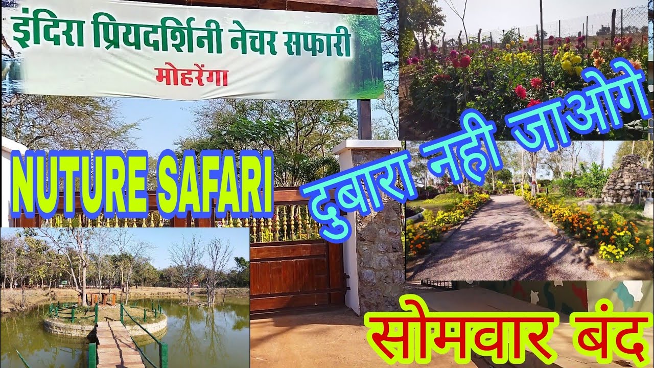 mohrenga nature safari