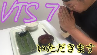 【再投稿】DRT VTS 7(ブイテール シャッド 7inch)