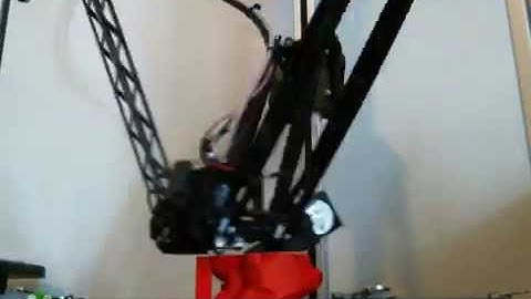 Rostock Max V2 low poly bunny timelapse