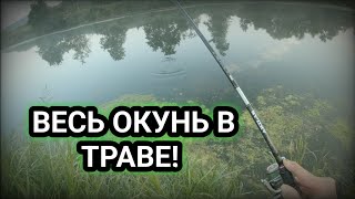 видео: Ловля окуня на спиннинг в траве! Окунь любит блесну вертушку! Именно эта приманка ловит окуней летом картинка: Ловля окуня на спиннинг в траве! Окунь любит блесну вертушку! Именно эта приманка ловит окуней летом