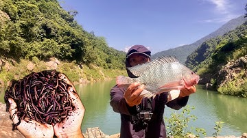 Instructies voor het haken van wormen als aas voor natuurlijk riviervissen – Effectief voor begin...