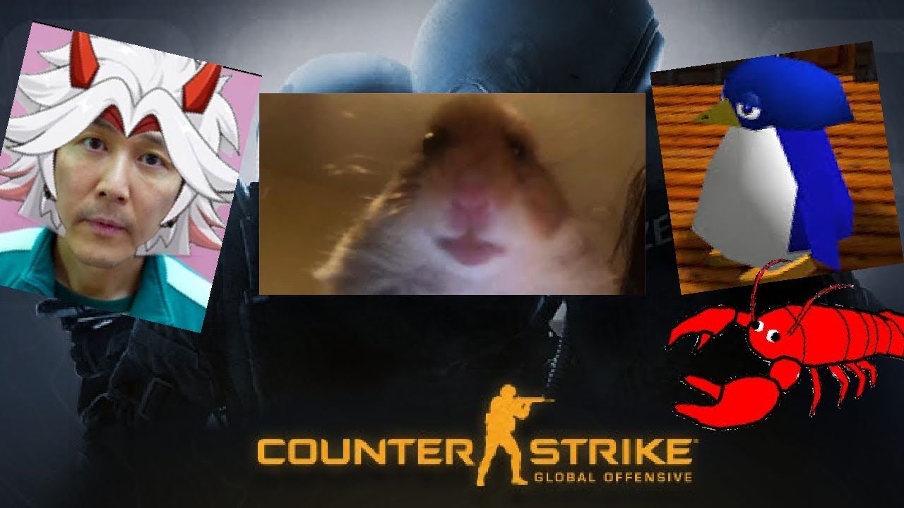 Goofy CSGO Clips | Mega LOLs - YouTube