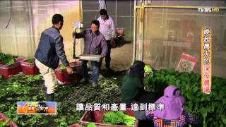 晚起農夫的深夜農場 TVBS 一步一腳印 20150315 (2/5)