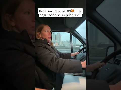 Лиса рулит на Соболе NN. @lenalisa33  #shorts