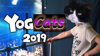 Jingle Cats X Yogcon