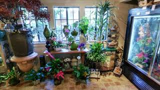 Flower Lady | Paso Robles, CA | Florists