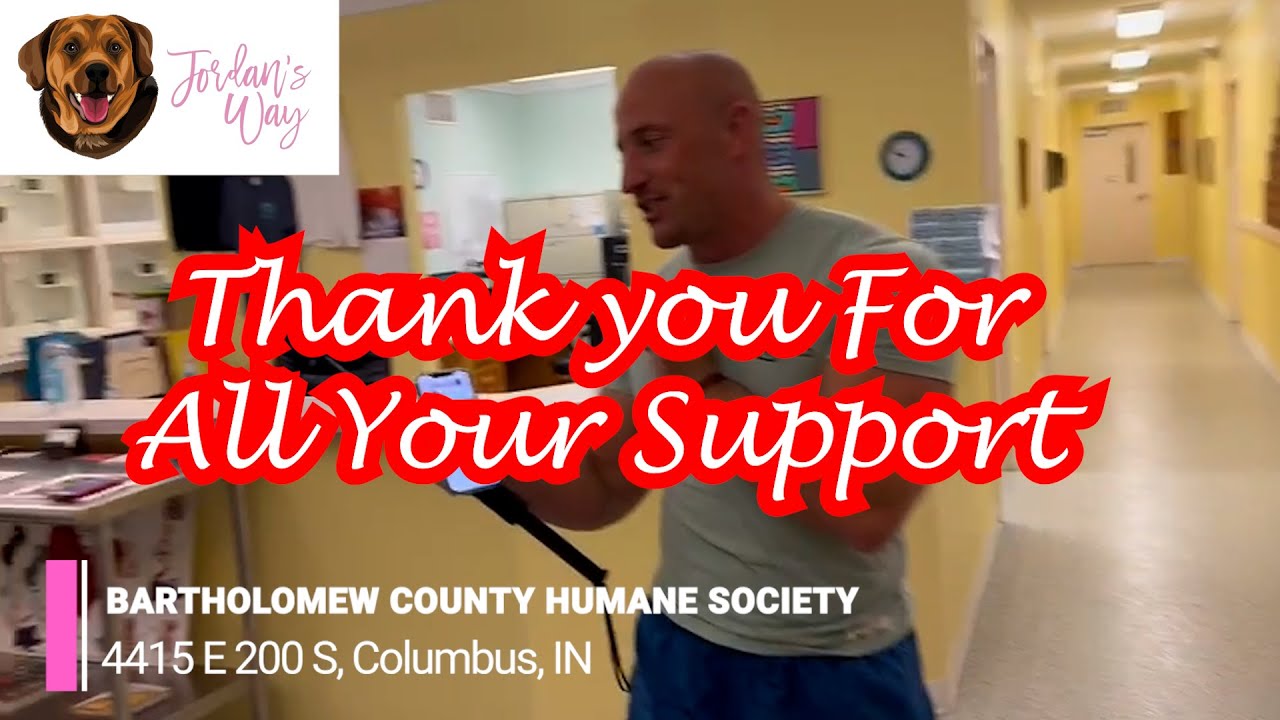 ⌚ 2 Min Recap Bartholomew County Humane Society Animal Shelter
