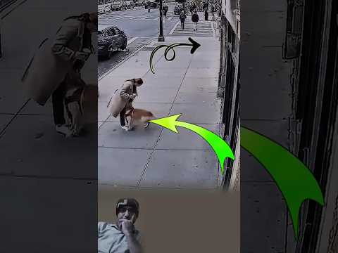 في امان الله تصبح ابسط المخلوقات حارسة لراحة الإنسان    