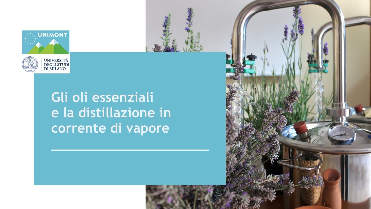 Gli oli essenziali e la distillazione in corrente di vapore YouTube Gli oli essenziali e la distillazione in corrente di vapore YouTube