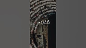 يا أيها الذين آمنوا اركعوا واسجدوا واعبدوا ربكم وافعلوا الخير لعلكم تفلحون | القارئ عبدالرحمن مسعد