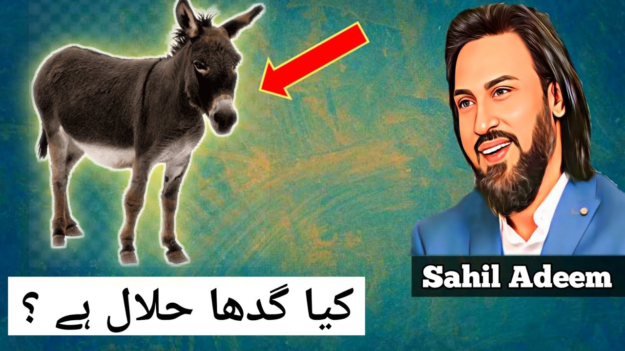 Is donkey halal ? | Sahil Adeem | Islamic Dominance