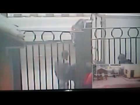 ١٧ مارس ٢٠١٩