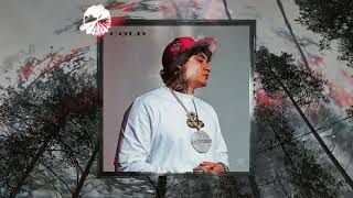 Cold - Fenix Flexin & Ohgeesy Remix Prod. Pimees