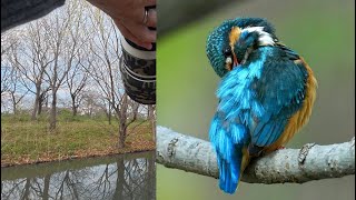 4K] The SONY FE 400-800mm F6.3-8 G OSS is definitely a godsend