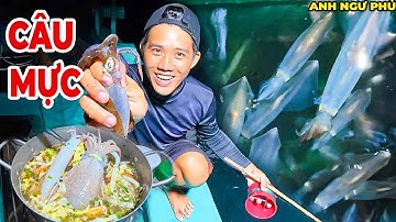 Ngư Dân Câu Mực Đêm Và Thưởng Thức Nồi Mì Mực Tươi Ngon | Anh Ngư Phủ