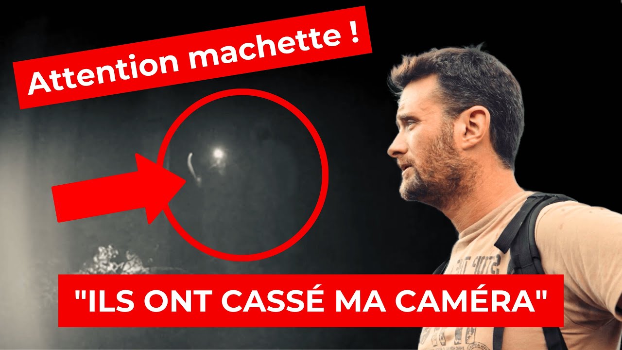 Sur le tournage d'un FILM sur les LOUPS (ils cassent nos pièges photos)