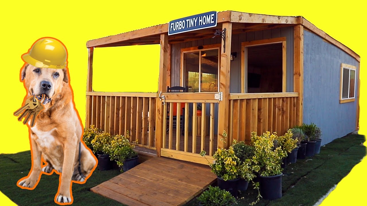 How to Build a Tiny Home in TWO WEEKS ...  For senior rescue dogs!