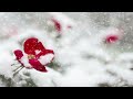 雪の華　(中島美嘉) キーマイナス４（確か）　うたってみた