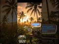 JAMAICAN GROOVE | Roots Reggae Instrumentals #reggae #caribbeanmusic #reggaemusic #music #party #dj