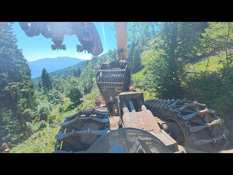 [ 1 : # ] forest peg - Highlander - Husky 564 auf Käferholz - Jagd