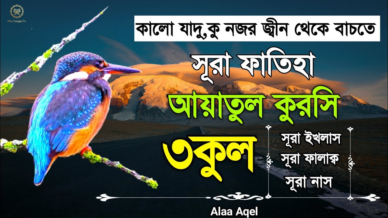 সূরা ফাতিহা আয়াতুল কুরসি ৩কুল | Surah Fatiha Ayatul kursi 3qul | quran recitation |
