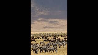South African Old School House Mix  Deep  Soulful Classics