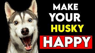 How To REALLY Make Your Husky HAPPY How To REALLY Make Your Husky HAPPY