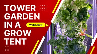 Growing With a Tower Garden in a Grow Tent