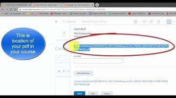 Embed Scrolling PDF Document in D2L
