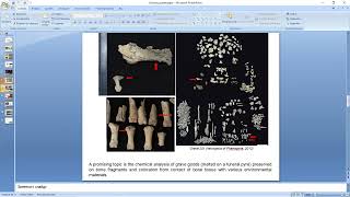 Svirkina Cremation in the Northern Black Sea Region: Results and Prospects for Research