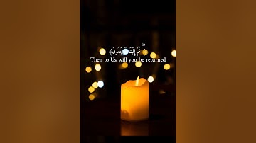 حصريا ولأول مرة1️⃣ من أجمل تلاوات 💚