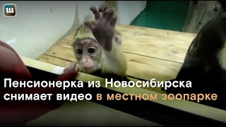 Самый добрый видеоблогер снимает белых медведей и капибар Самый добрый видеоблогер снимает белых медведей и капибар