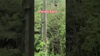 Pahadi Bana: A Love Story Written By Nature