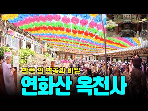 경남 고성 연화산 옥천사, 천 년을 버틴 명당자리에 숨겨진 소름 돋는 진실