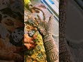 mehendi #reels #mehendidesign #karwachauthspecial #song #trendingshorts #love #viralvideo #new