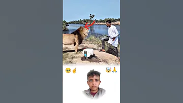 الأسد مر بجانب الرجل الجالس ولم يؤذه فكان الموقف مهيب ا مليئ ا بالرحمة 