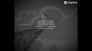 Erkek böyle olur tecavüz eden değil