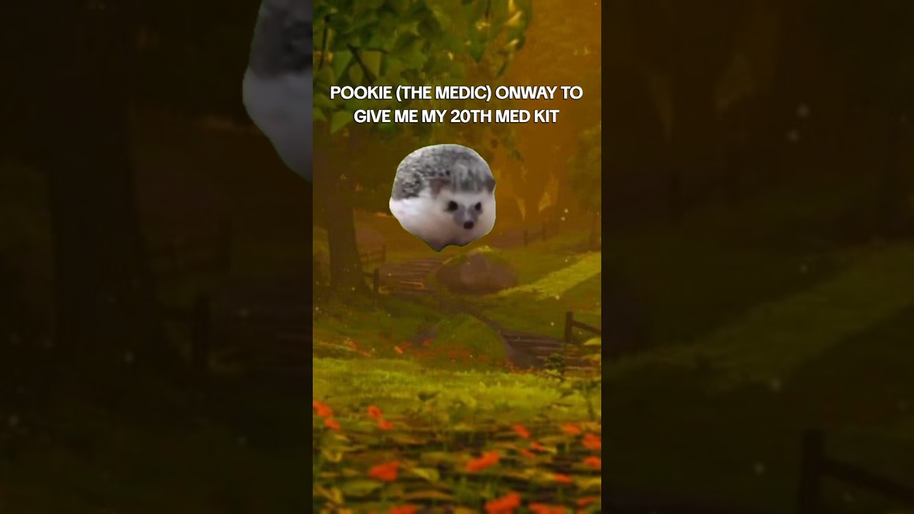 Pookie the medic 