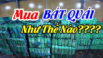 Những Sai Lầm Của Khách Hàng Khi Mua Lồng Bát Quái Đánh Sông, Hồ, Biển....