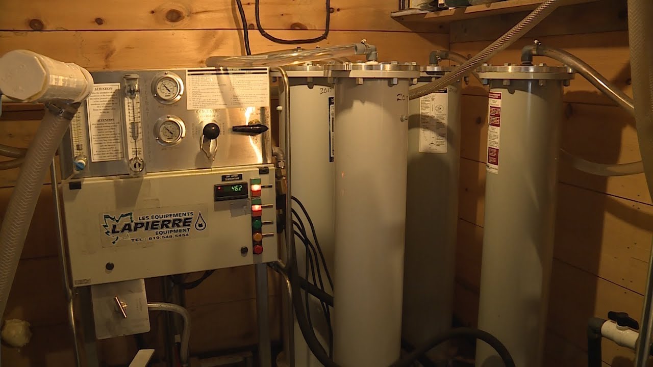 Maple: Reverse Osmosis | The Local Feed
