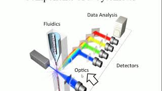Research Technique - Flow Cytometry and Cell Sorting 1