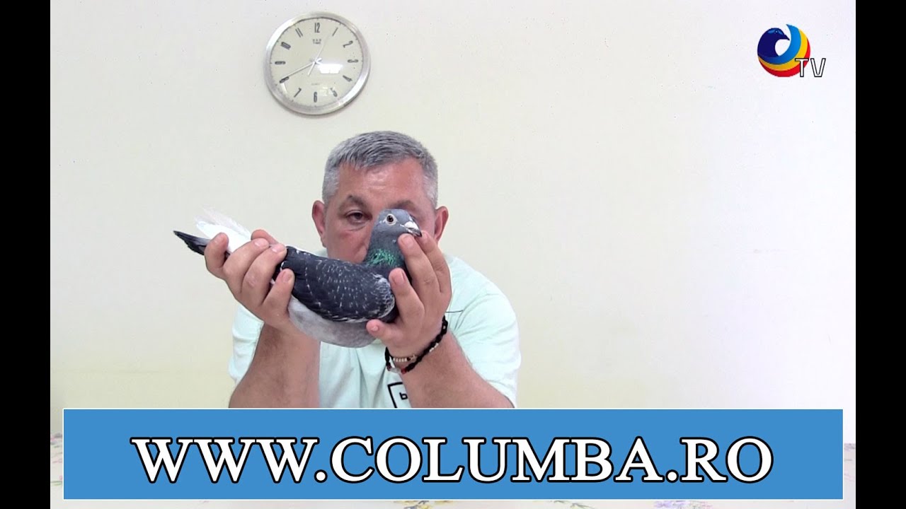 Frații Sîrghi, un tandem de elită al județului Vrancea (II)