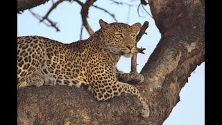 Mahali Mzuri #sofasafari | Episode 1