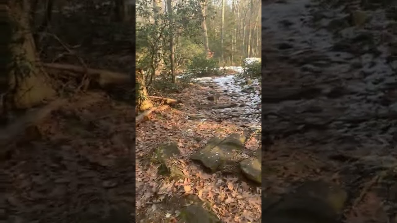 Devil’s Playground ( Creepy sounds captured Listen close)