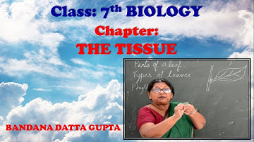 The Tissue by BDG Ma’am Biology for (Form-D) Class 7th VBS